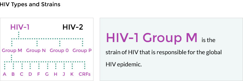 https://alferdousco.com/wp-content/uploads/2021/07/HIV-1-Treatment-IRAN.jpg